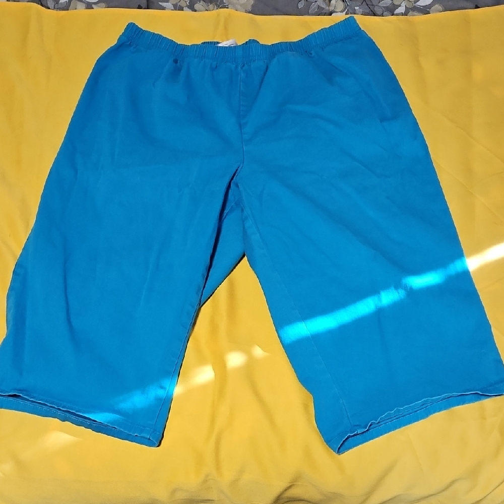 Hanes Womens Vibrant Blue Athletic Capri Size XXL